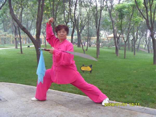 拳照