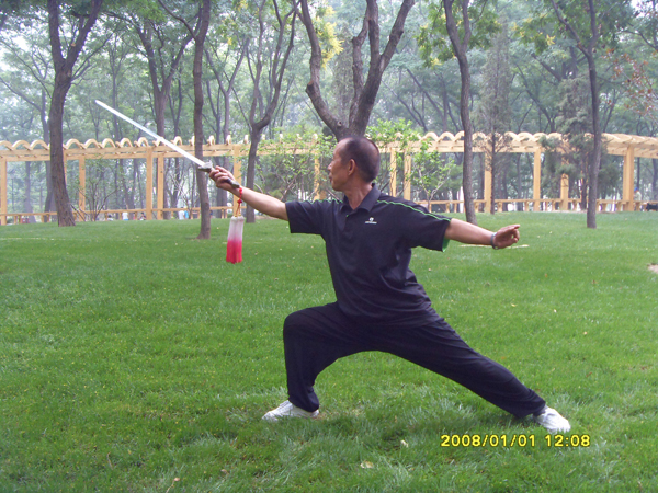 拳照