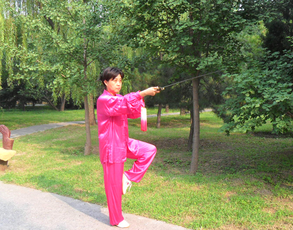 拳照
