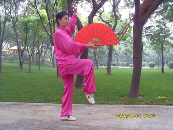 拳照