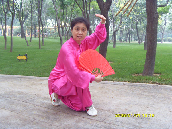 拳照