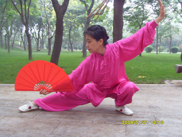 拳照