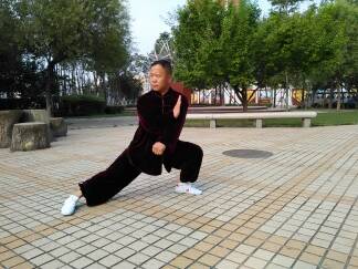 拳照