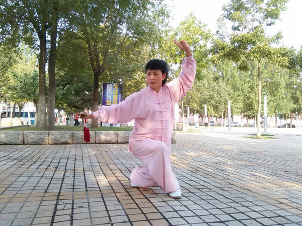 拳照