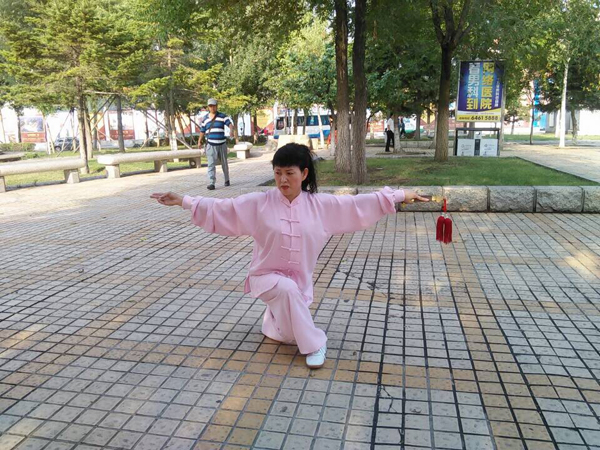 拳照