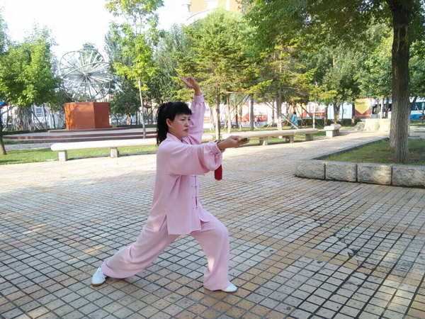 拳照