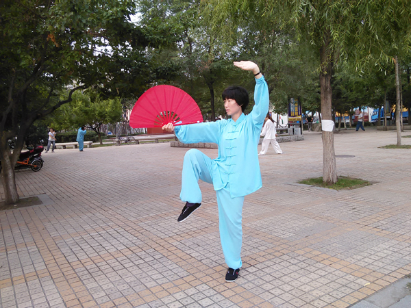 拳照