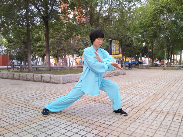 拳照