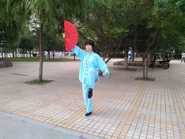 拳照