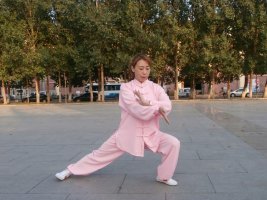 拳照