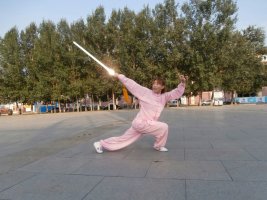拳照