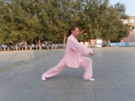 拳照