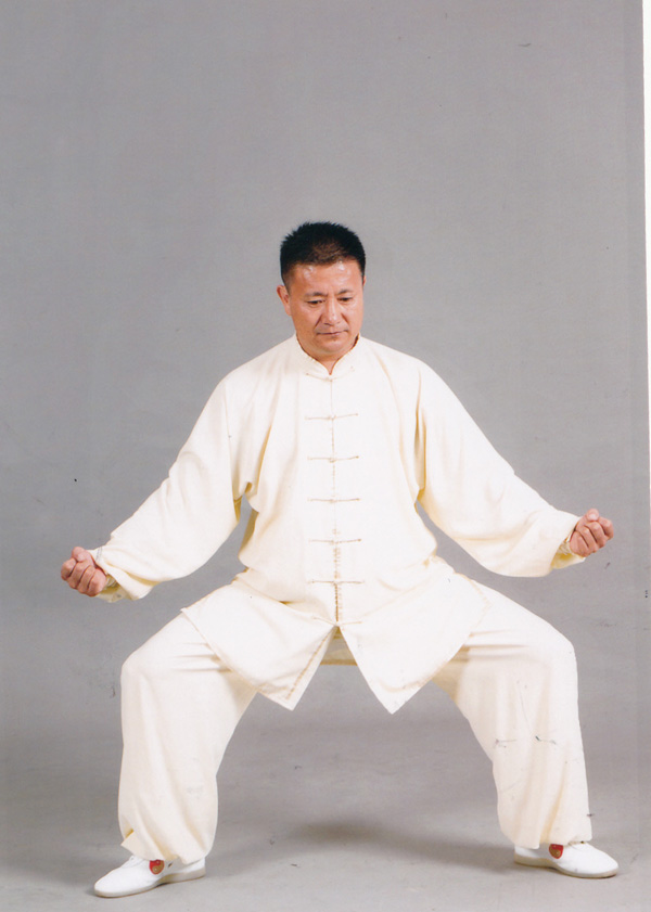 拳照
