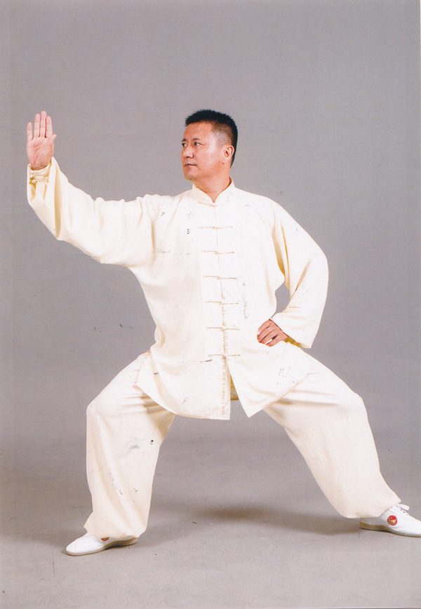 拳照