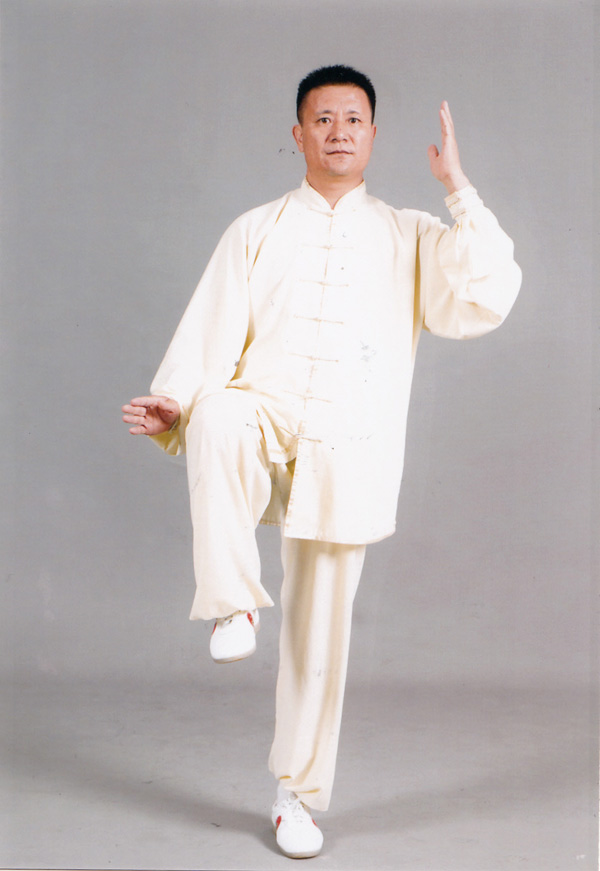 拳照