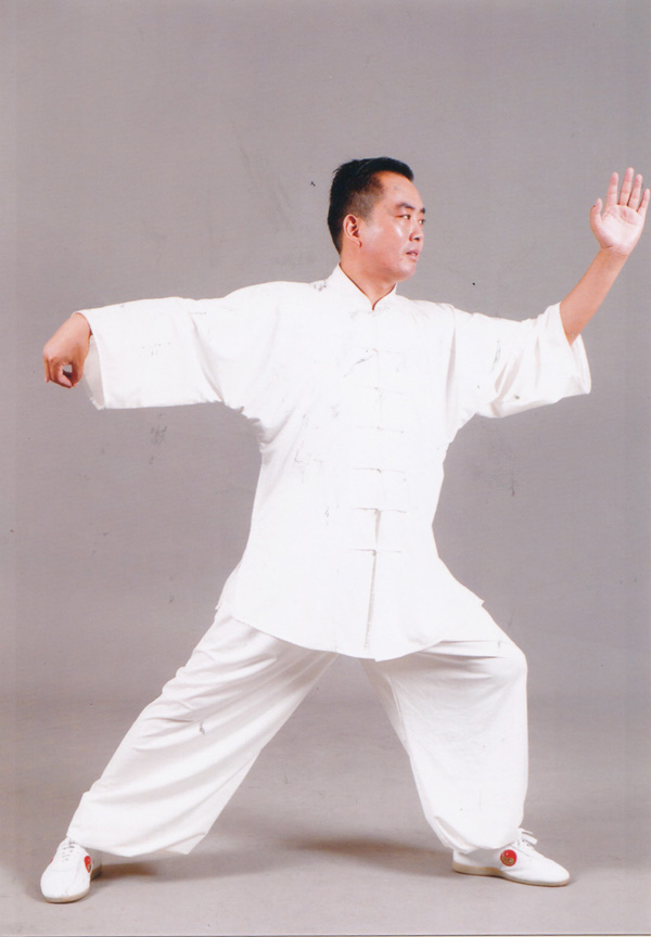 拳照