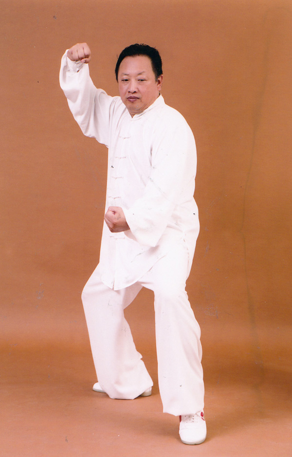 拳照