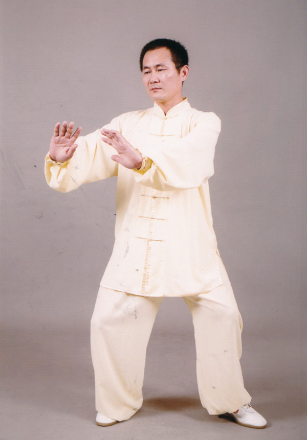 拳照