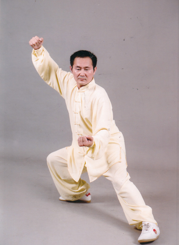 拳照