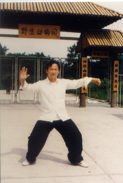 拳照
