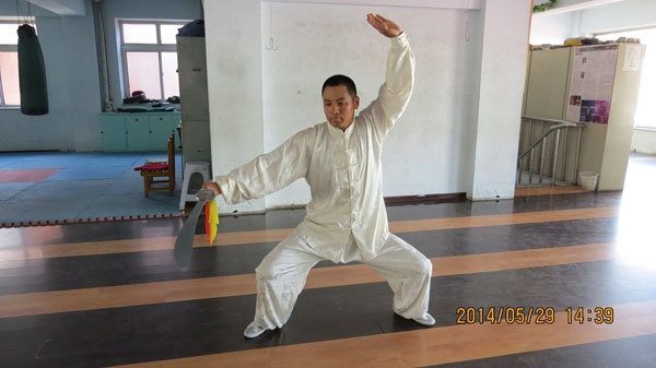 拳照