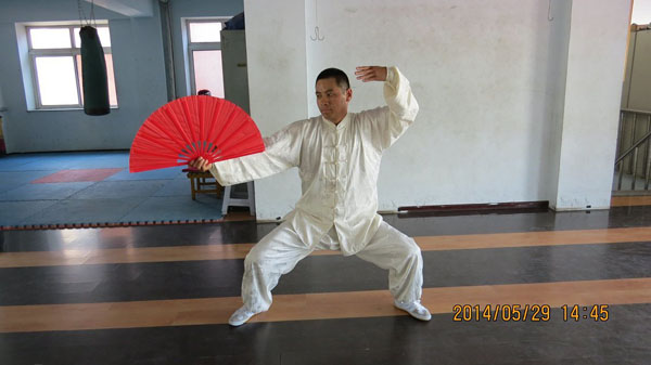 拳照