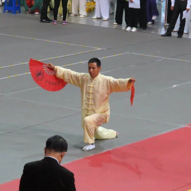 拳照