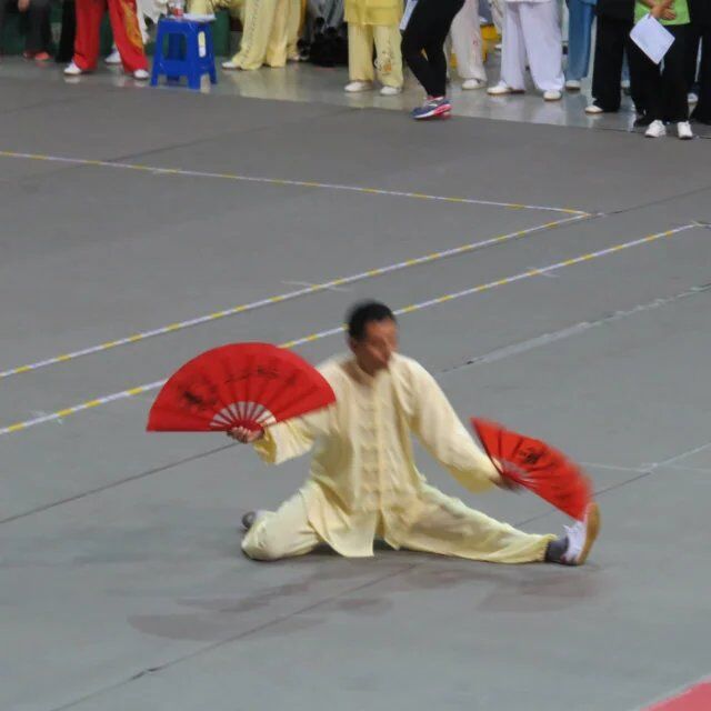 拳照