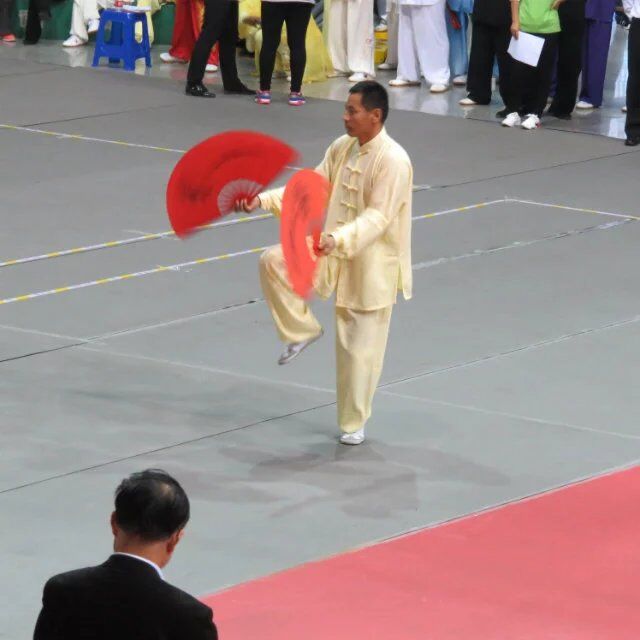 拳照