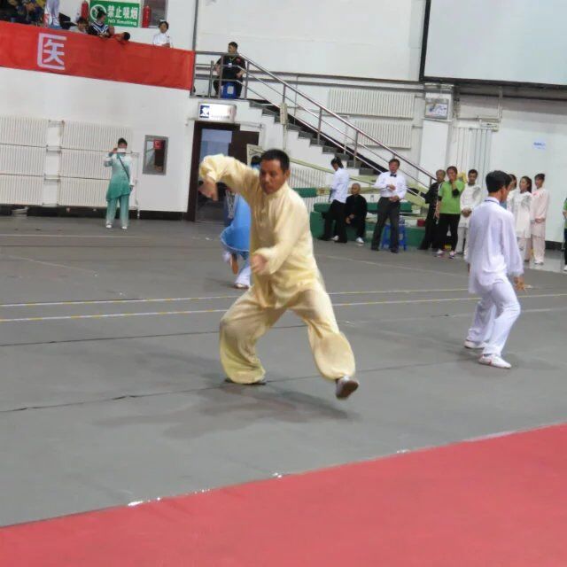 拳照