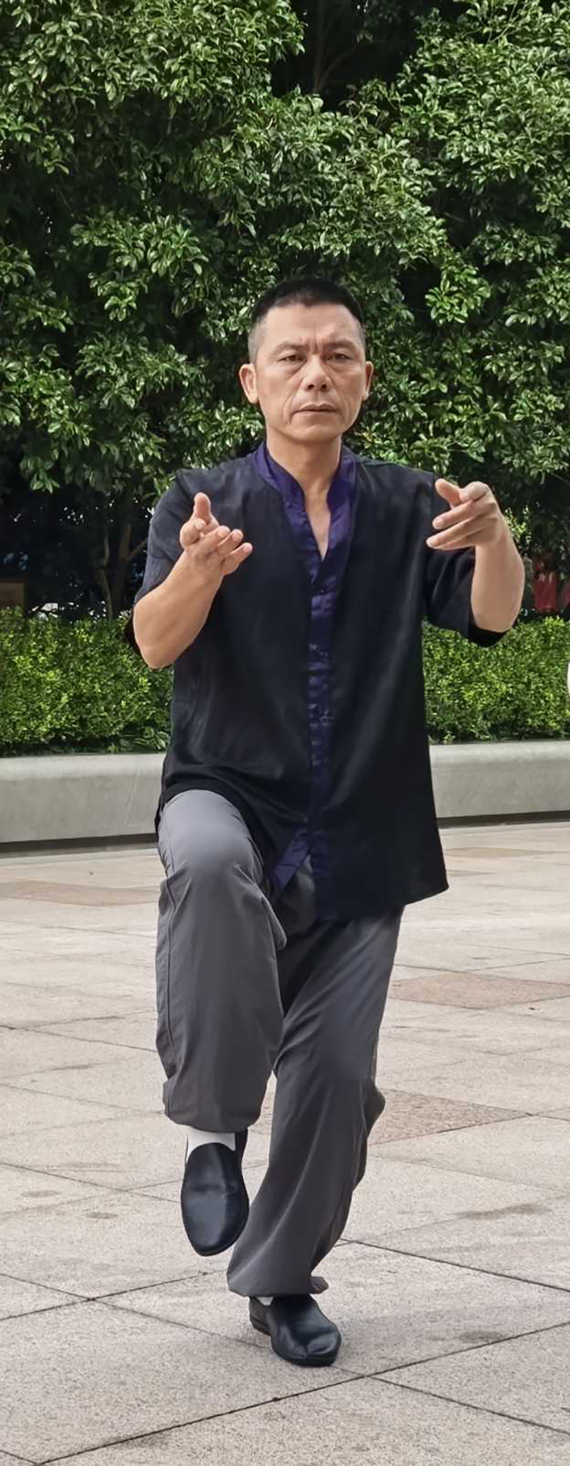 拳照