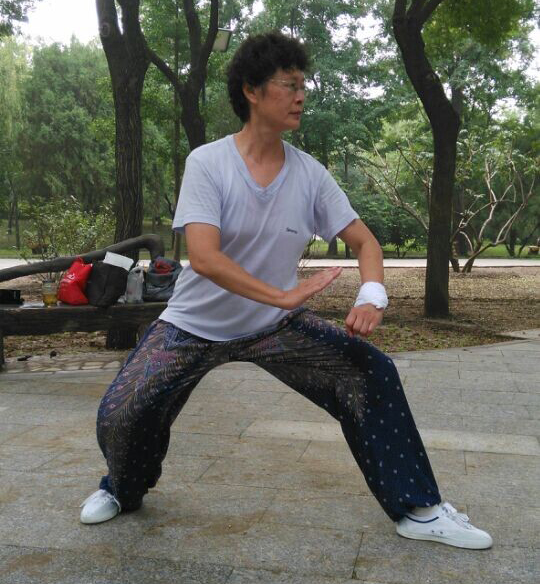 拳照