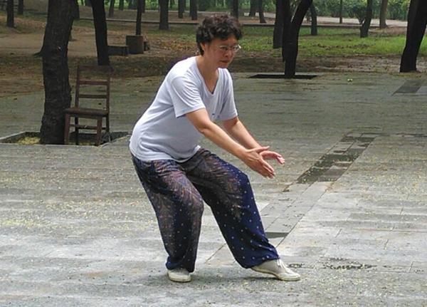 拳照