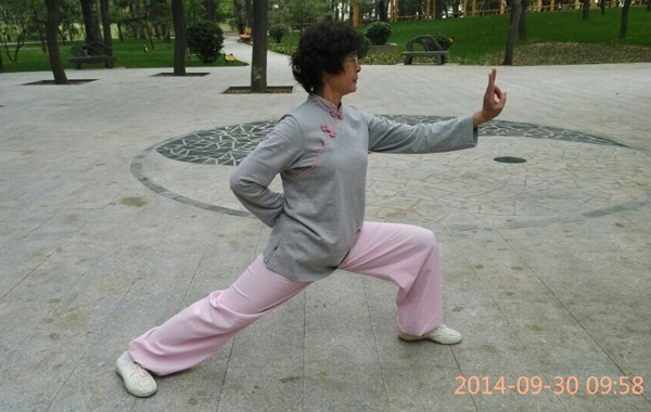 拳照