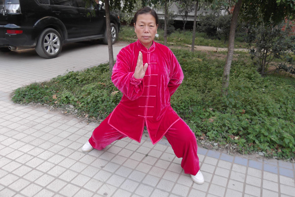 拳照