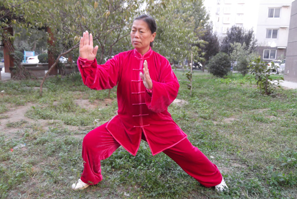 拳照