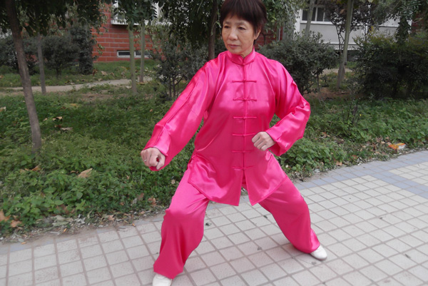 拳照