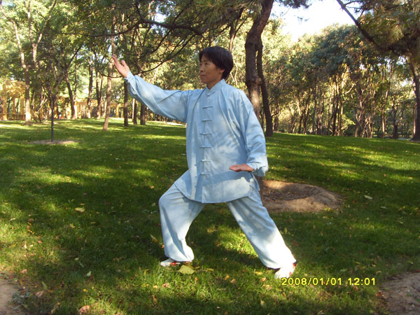 拳照