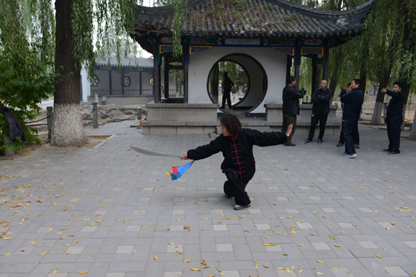拳照