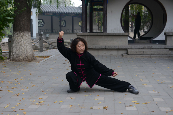 拳照