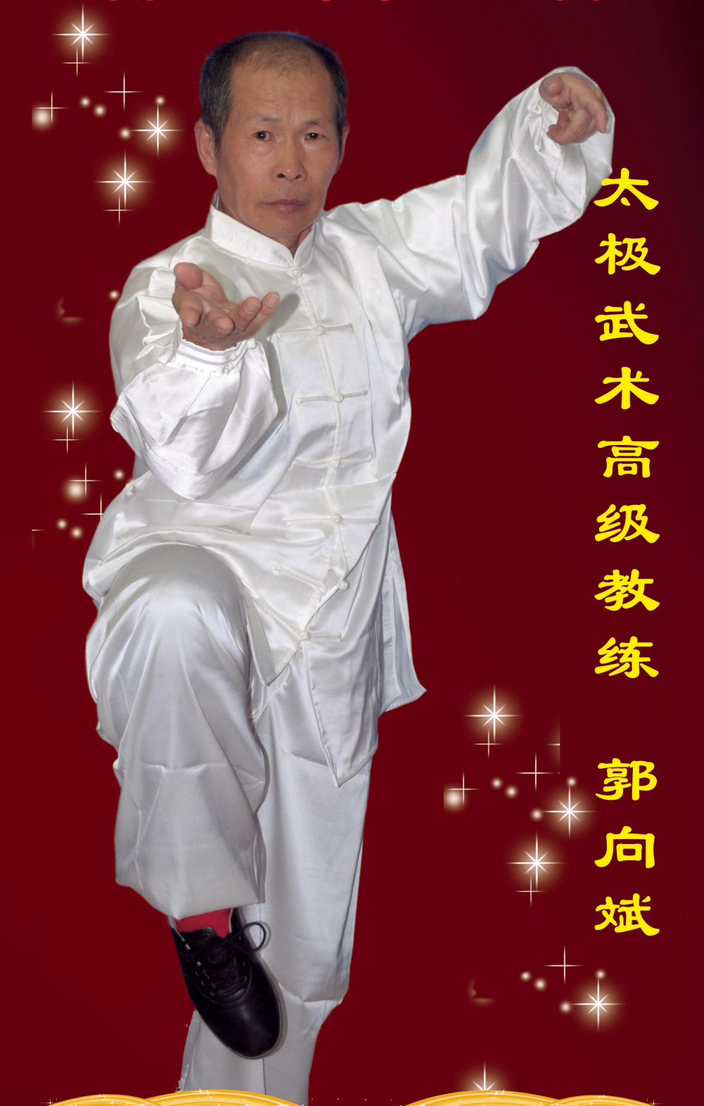 拳照