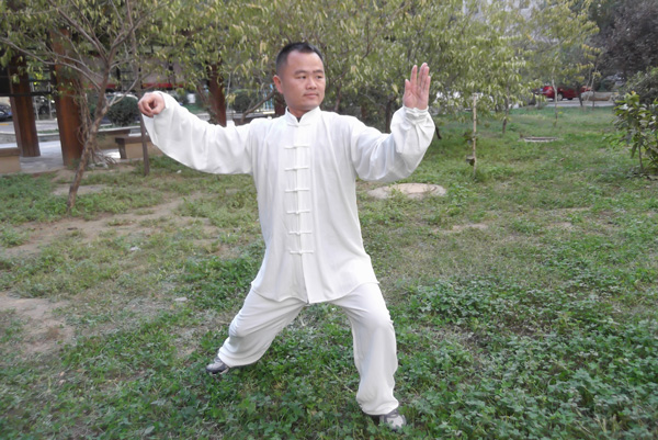 拳照