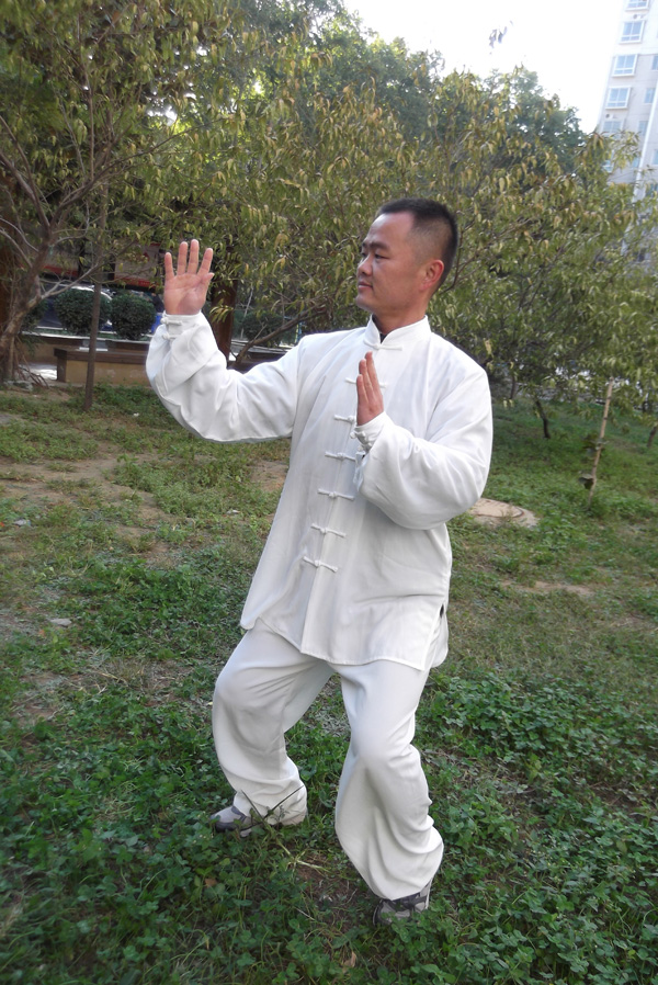 拳照