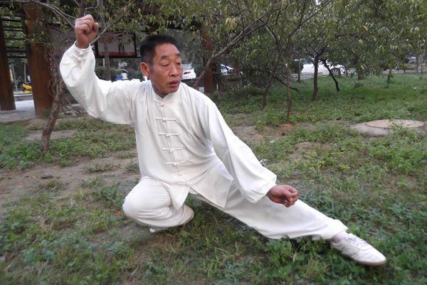 拳照