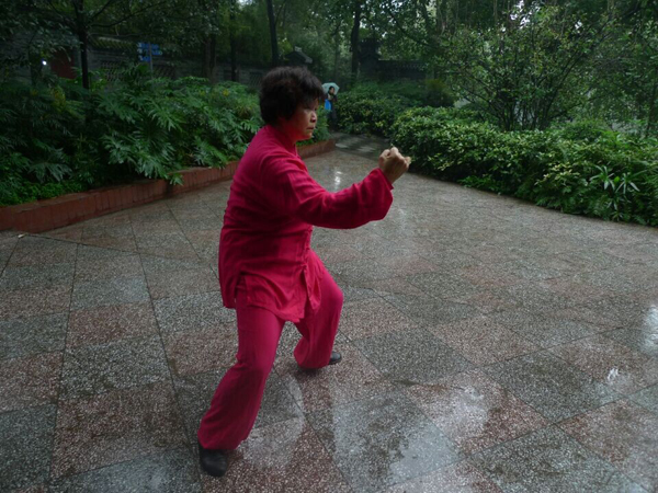 拳照