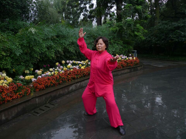 拳照