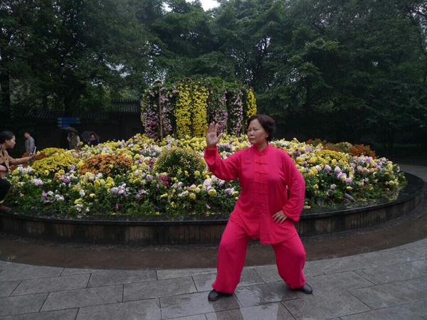 拳照