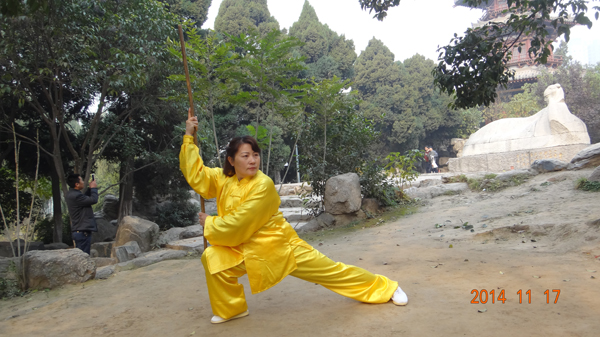 拳照