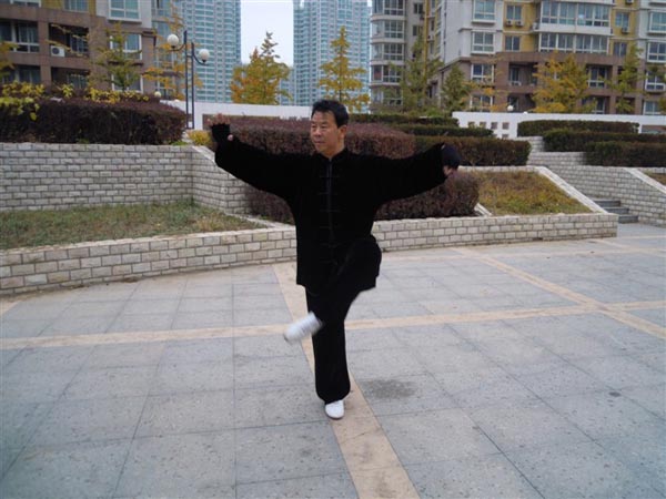 拳照