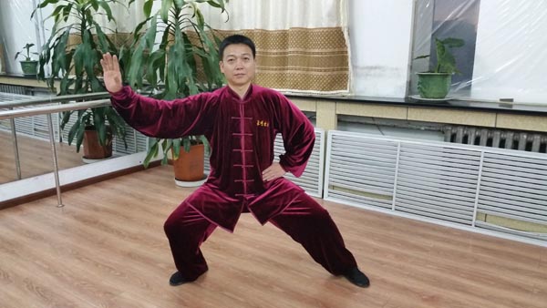 拳照